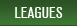 Toronto Soccer Leagues